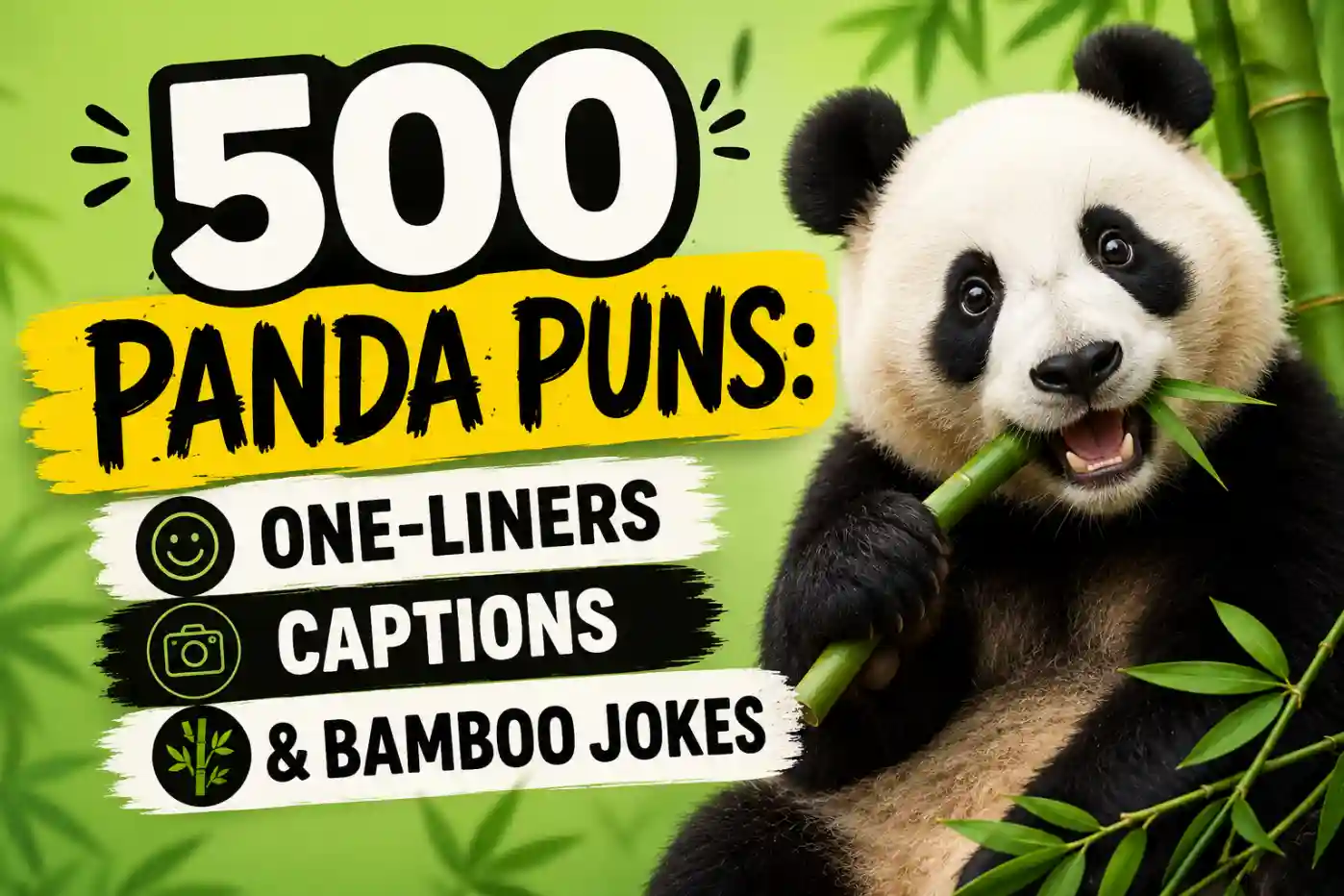 Panda Puns